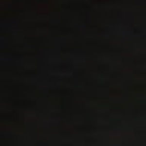 Meet your Posher, Larry